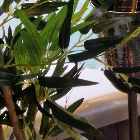 Au Petit Seny, Charme Et Nature Avec Jacuzzi Pro