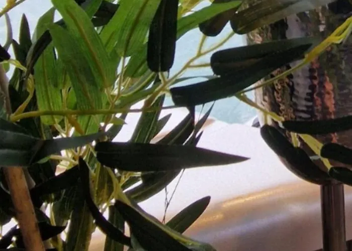 Au Petit Seny, Charme Et Nature Avec Jacuzzi Pro